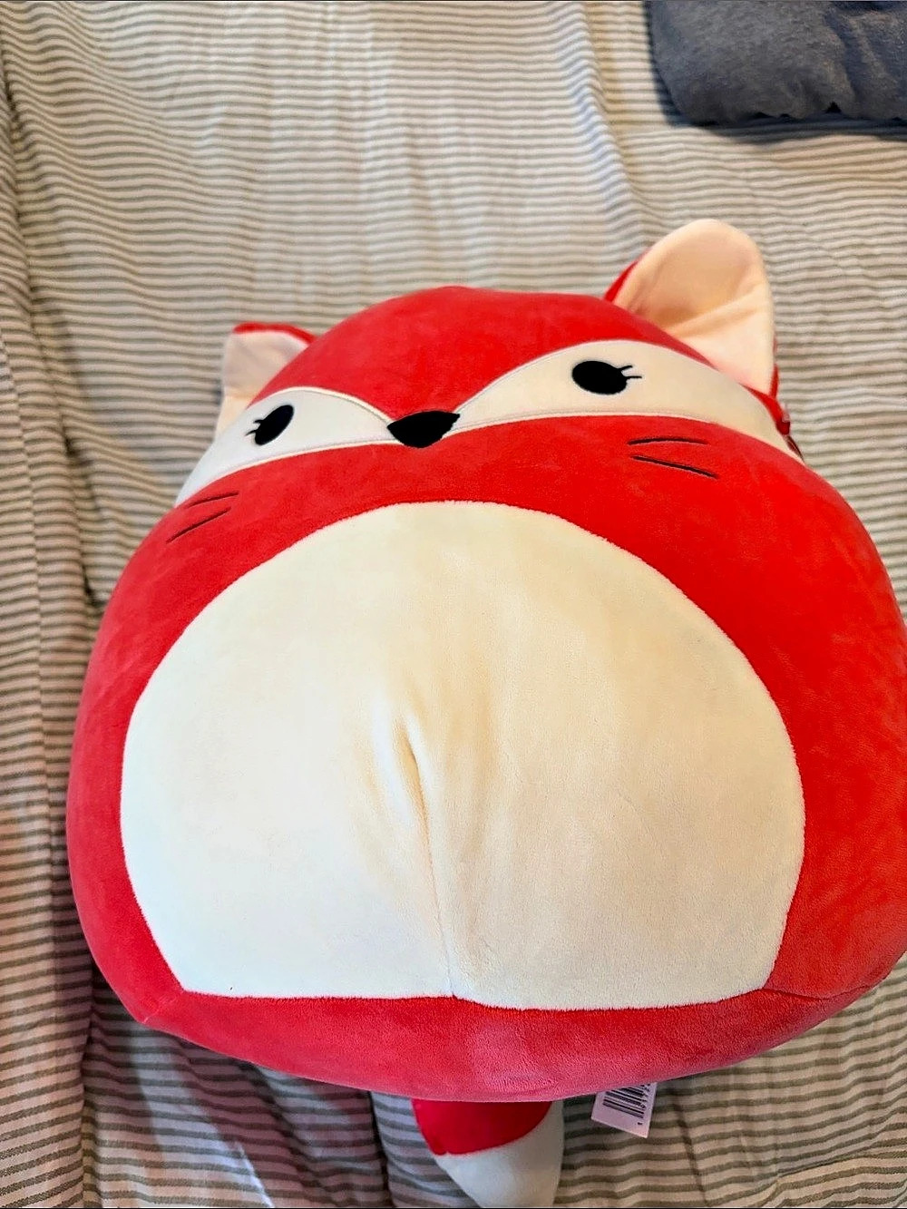 Kellytoy Fifi Red Fox Squishmallows Plush NWT